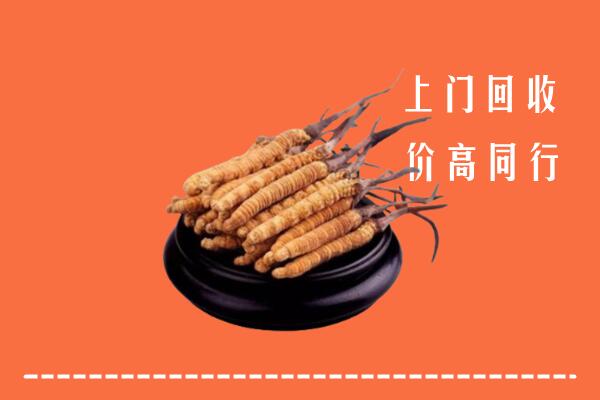 高价求购：阿坝县回收散虫草